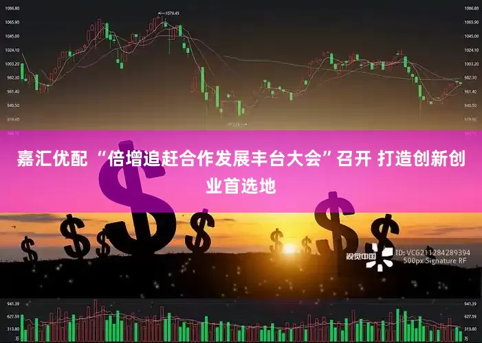 嘉汇优配 “倍增追赶合作发展丰台大会”召开 打造创新创业首选地