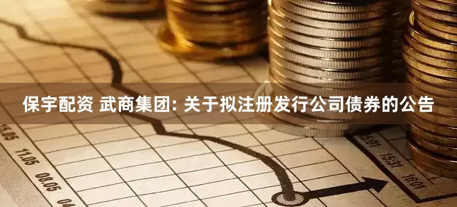 保宇配资 武商集团: 关于拟注册发行公司债券的公告